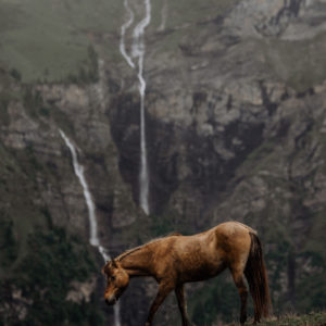 Art print "Solitude"