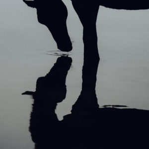 Art print "My reflection"