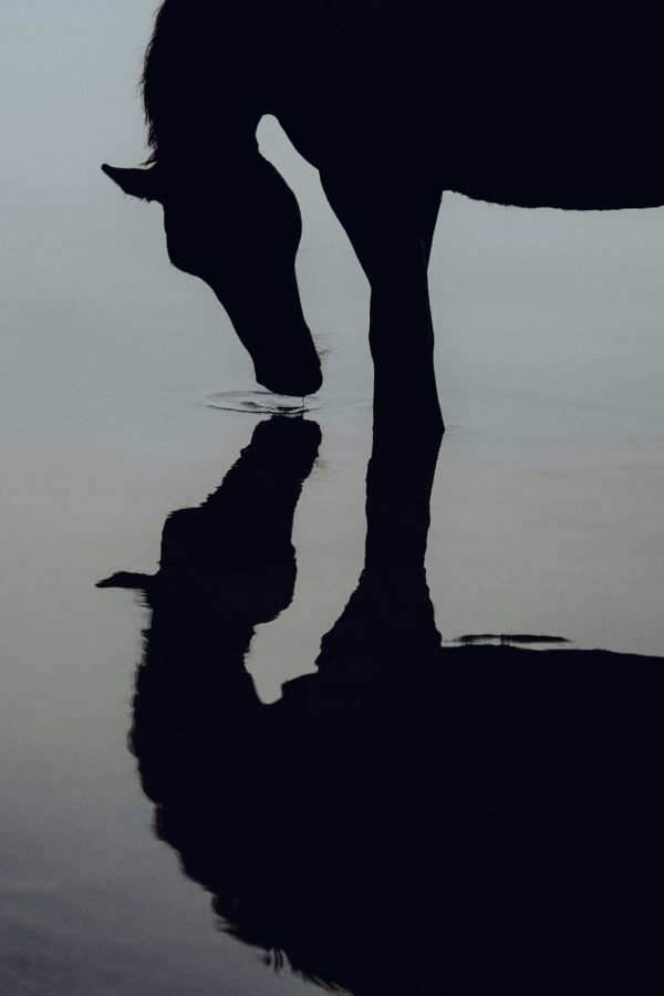 Art print "My reflection"