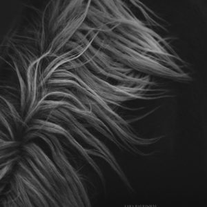Kunstdruck «Roots»
