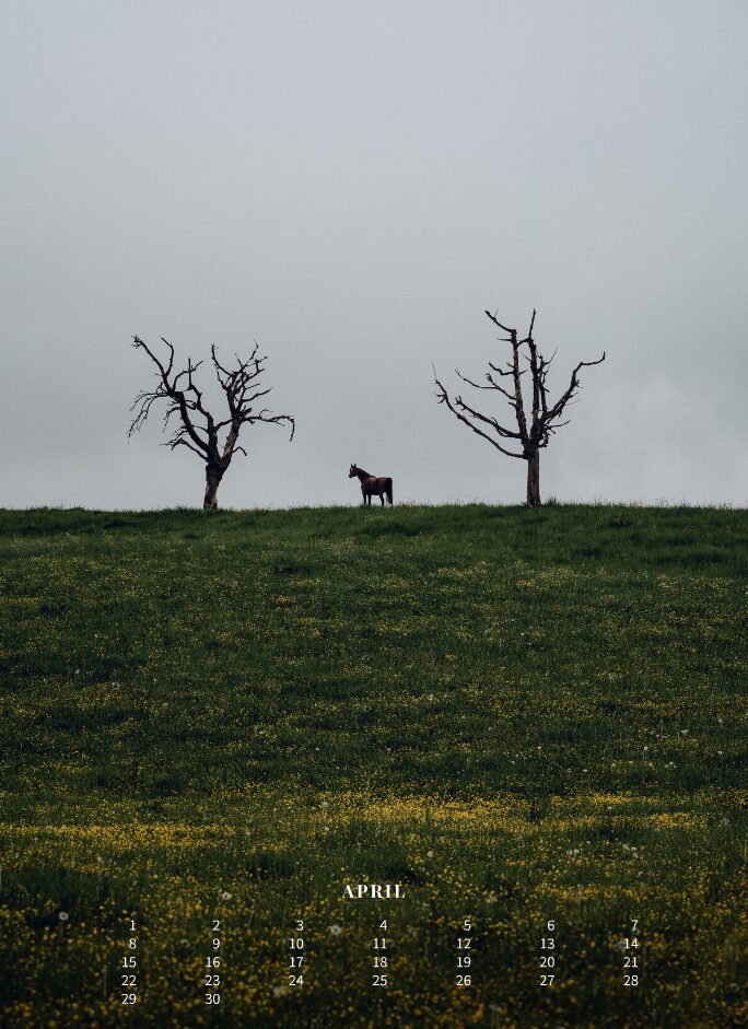 Kalender 2026 «Horses are pure art.» - Image 6