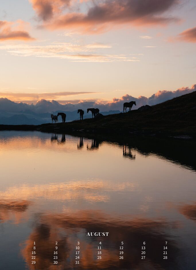 Kalender 2026 «Horses are pure art.» - Image 10