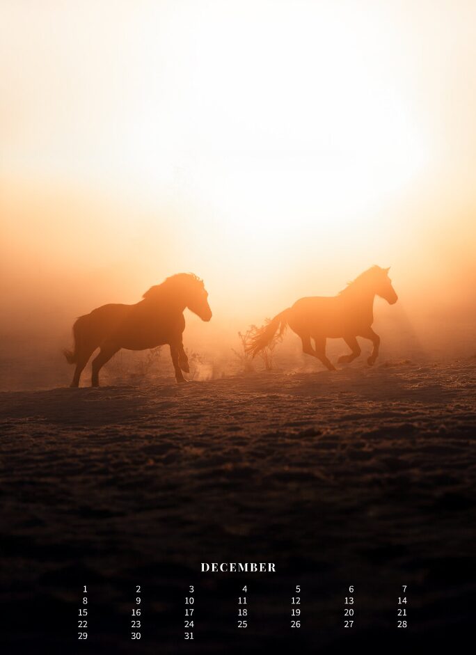 Kalender 2026 «Horses are pure art.» - Image 14