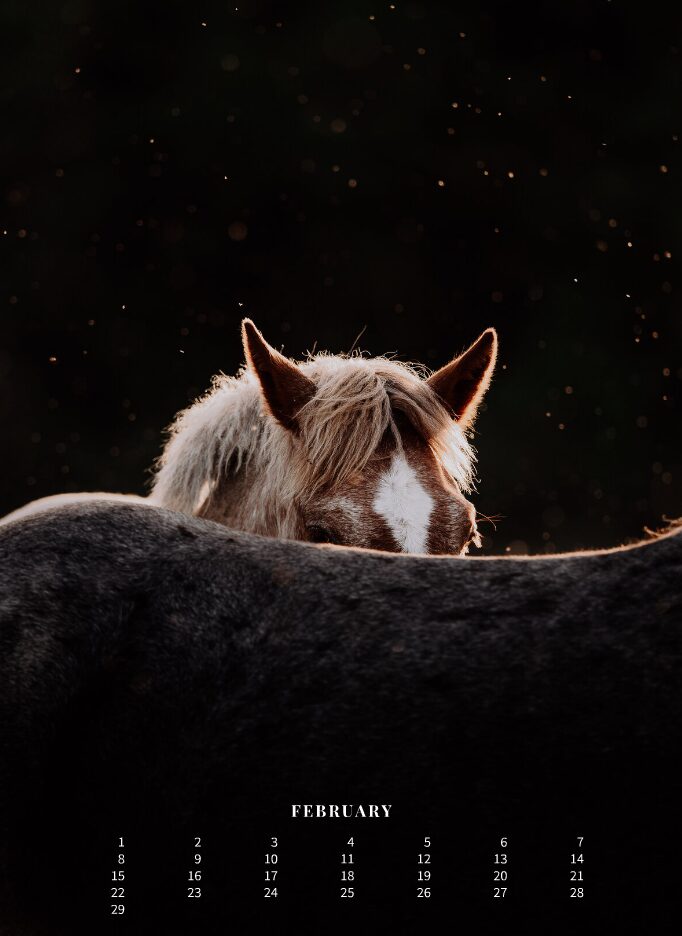 Kalender 2026 «Horses are pure art.» - Image 4