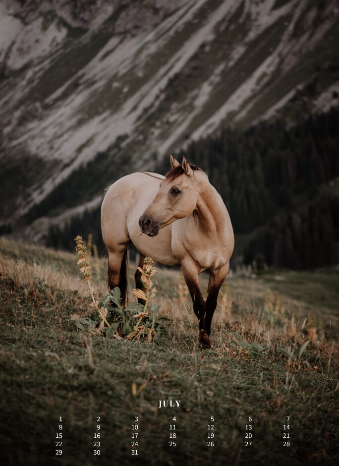 Kalender 2026 «Horses are pure art.» - Image 9