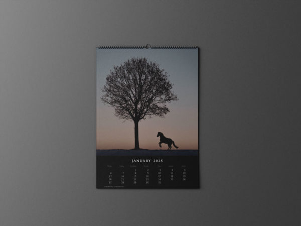 Kalender 2025 «Horses are pure art.» – Bild 2