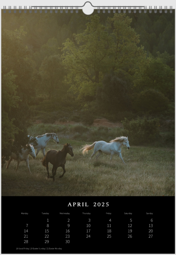 Kalender 2025 «Horses are pure art.» – Bild 6