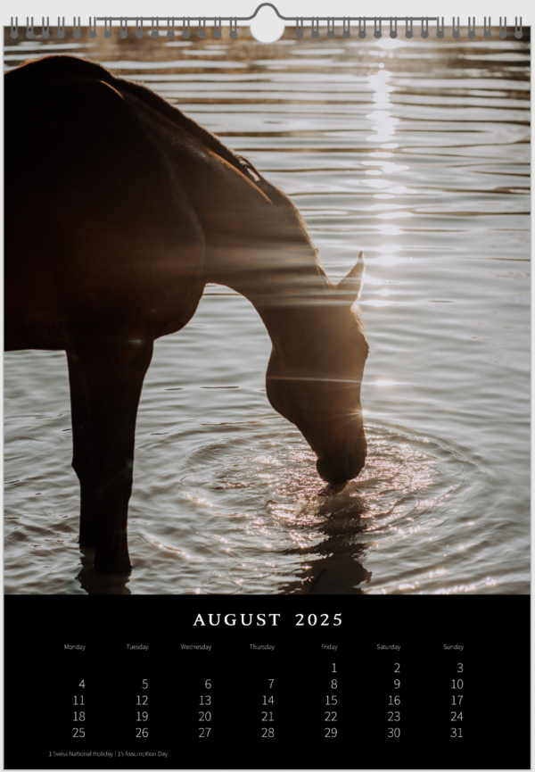 Kalender 2025 «Horses are pure art.» – Bild 10
