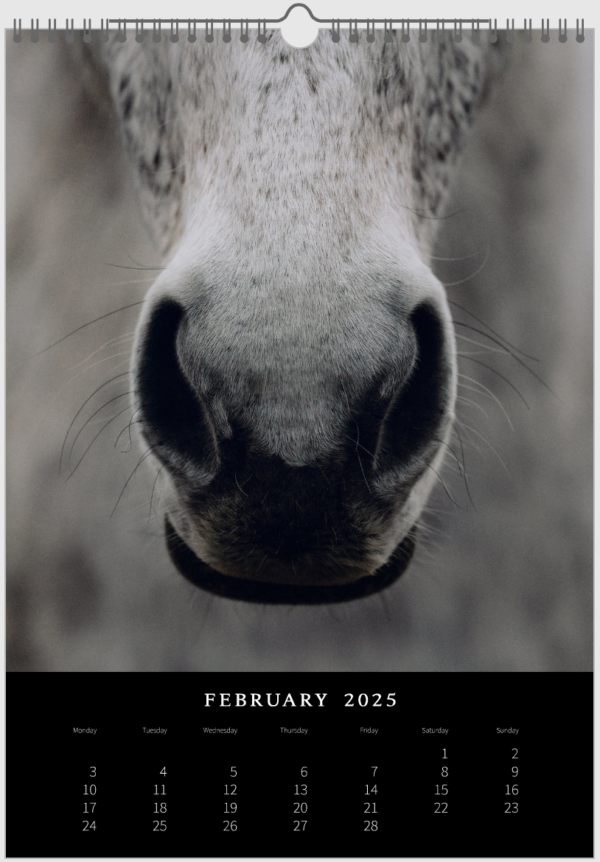 Kalender 2025 «Horses are pure art.» – Bild 4