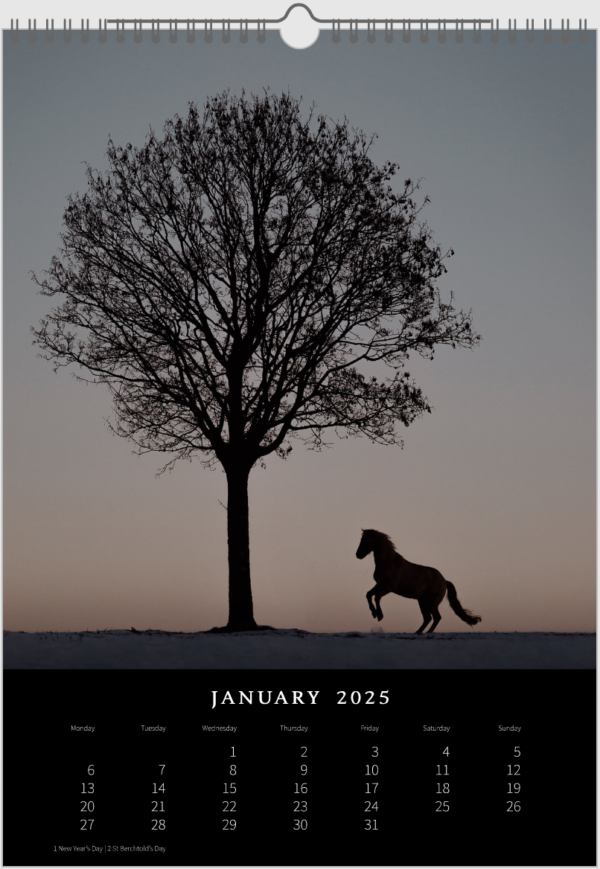 Kalender 2025 «Horses are pure art.» – Bild 3