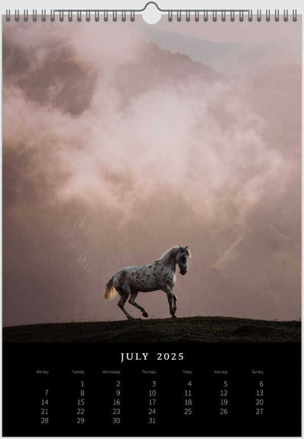 Kalender 2025 «Horses are pure art.» – Bild 9