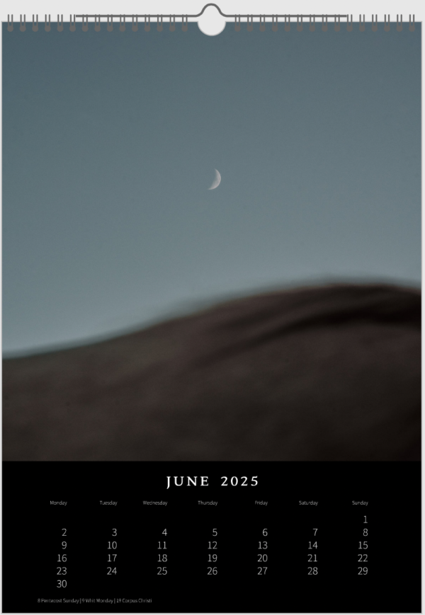 Kalender 2025 «Horses are pure art.» – Bild 8