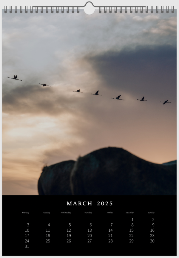 Kalender 2025 «Horses are pure art.» – Bild 5