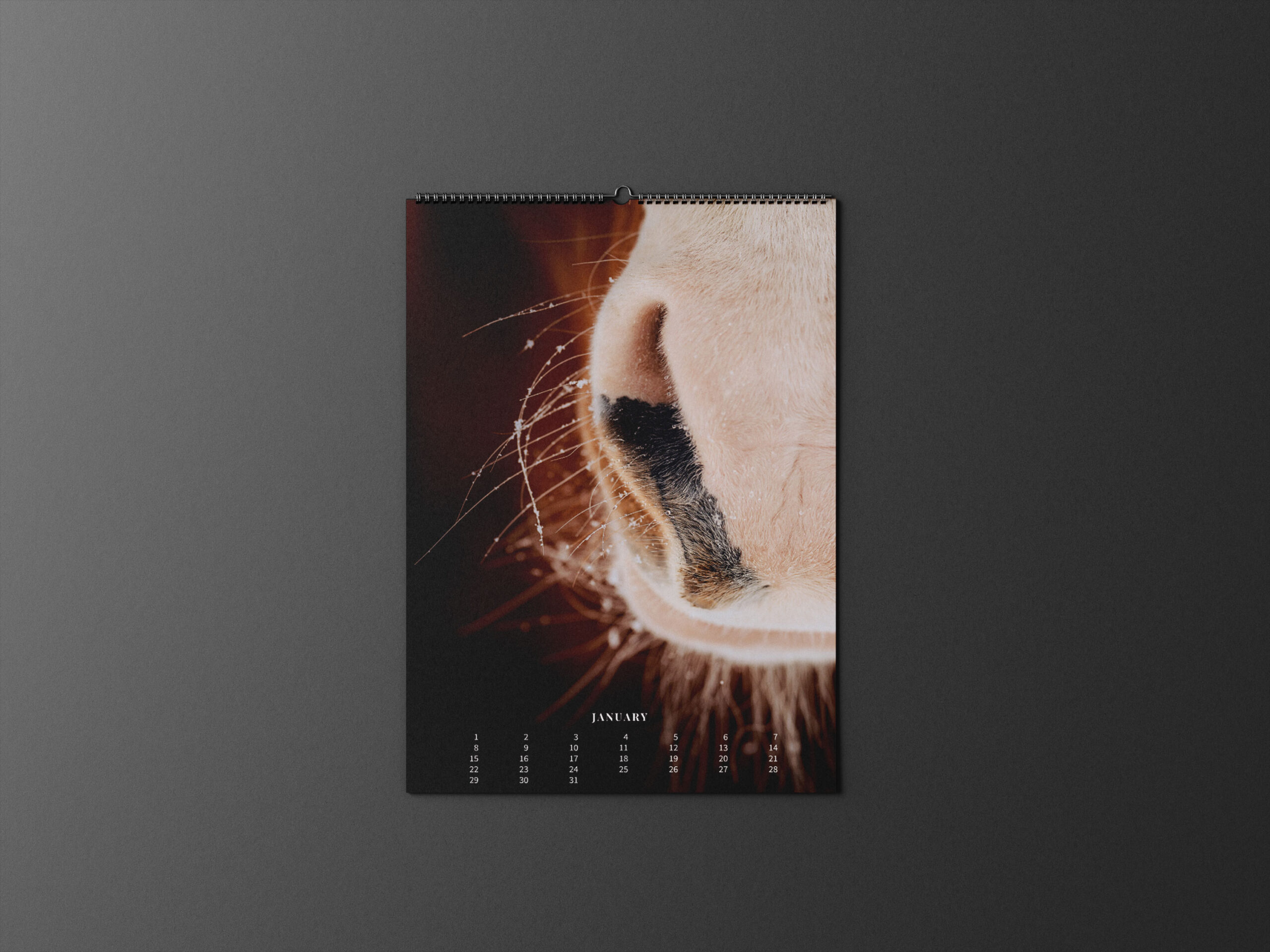 Kalender 2026 «Horses are pure art.» - Image 2