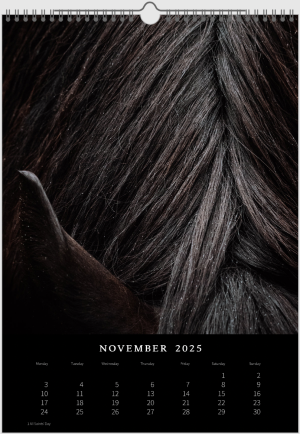 Kalender 2025 «Horses are pure art.» – Bild 13