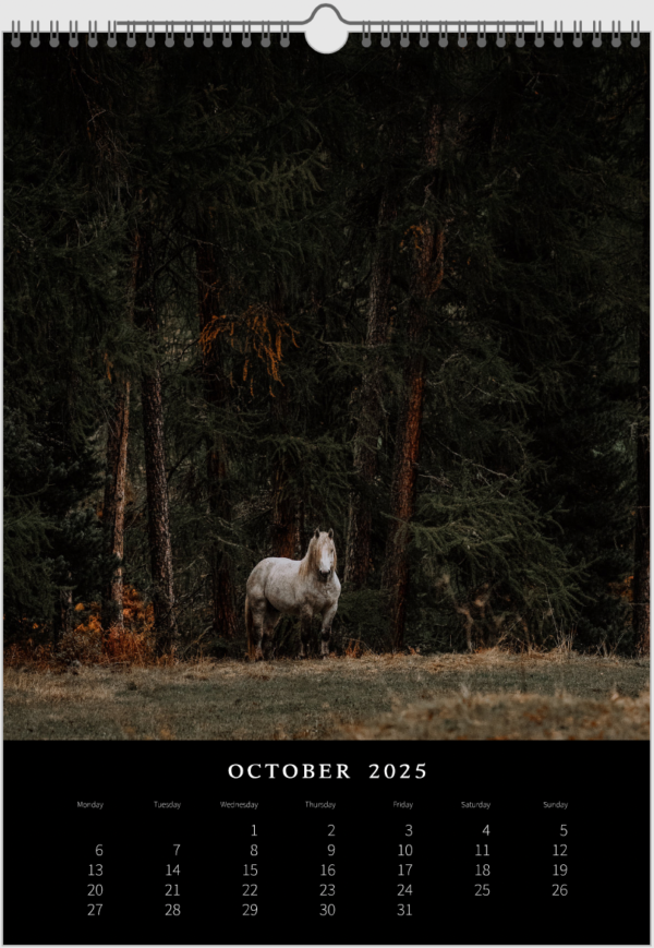Kalender 2025 «Horses are pure art.» – Bild 12