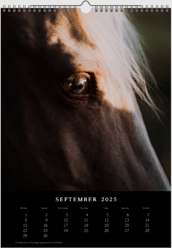 Kalender 2025 «Horses are pure art.» – Bild 11
