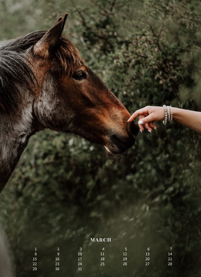 Kalender 2026 «Horses are pure art.» - Image 5
