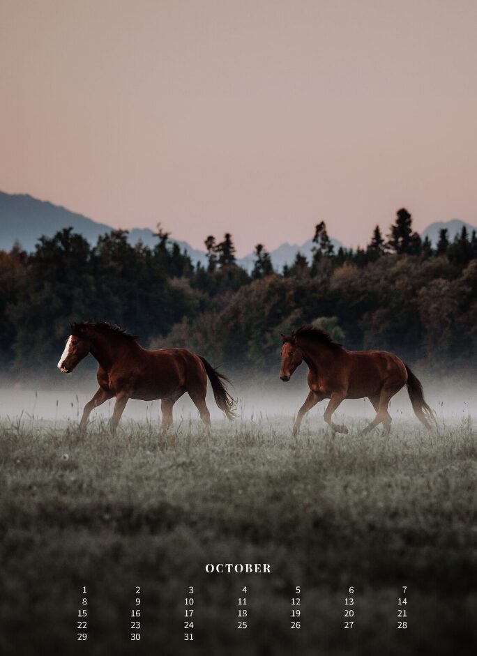 Kalender 2026 «Horses are pure art.» - Image 12