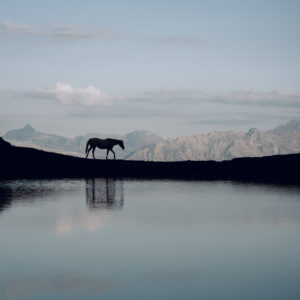 "Silent reflection" art print
