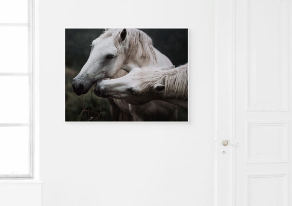 Kunstdruck «Tender kiss» – Image 2