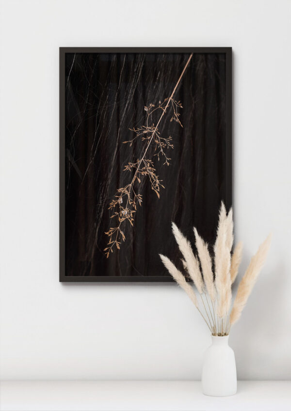 Kunstdruck «Nature's art» – Bild 2