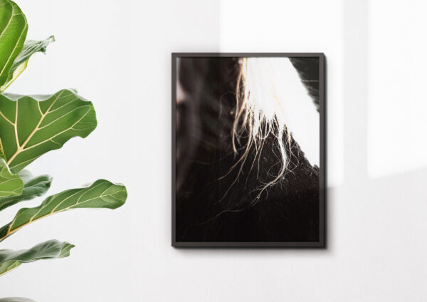 Kunstdruck «Calm after the rain» - Image 2