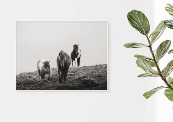 Kunstdruck «Echoes of the Storm» - Image 2
