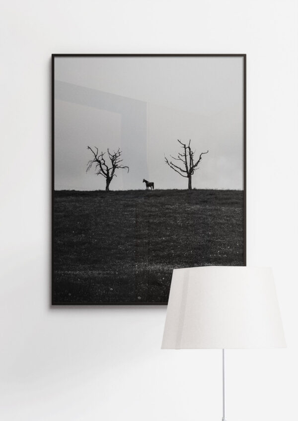 Kunstdruck «The Silent Passage» - Image 2