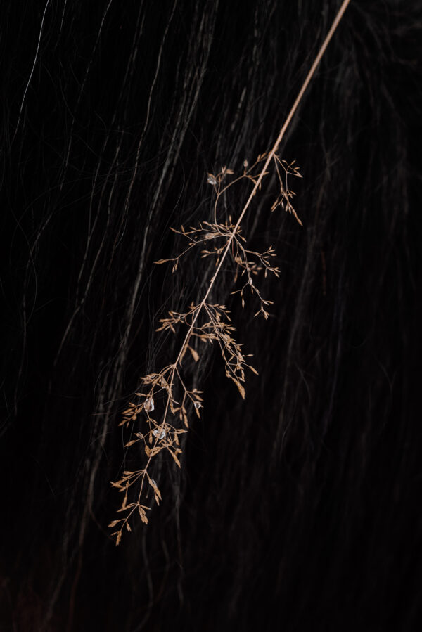 Kunstdruck «Nature's art»