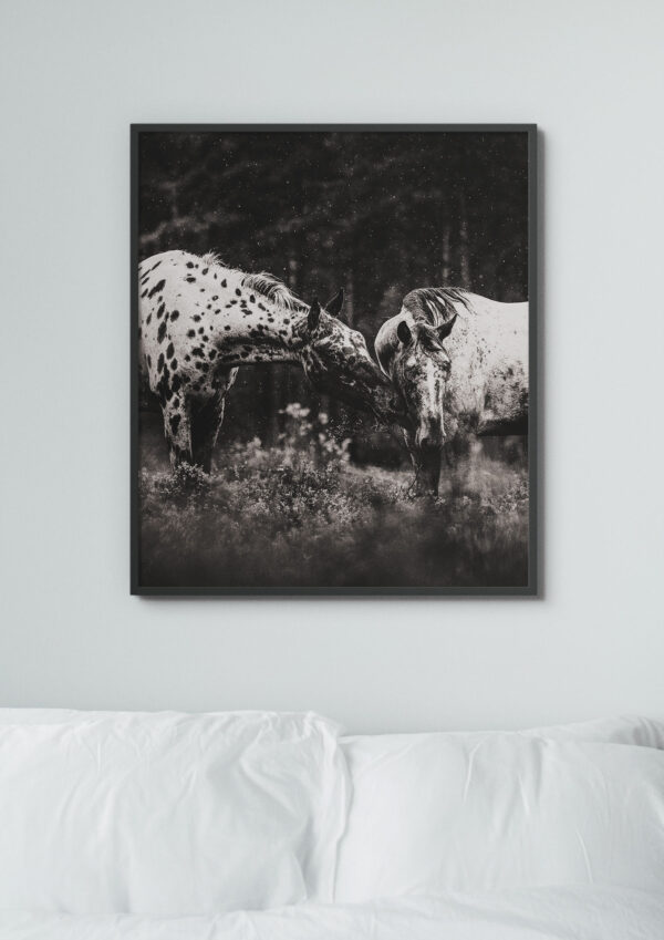 Kunstdruck «Similarities» – Bild 2