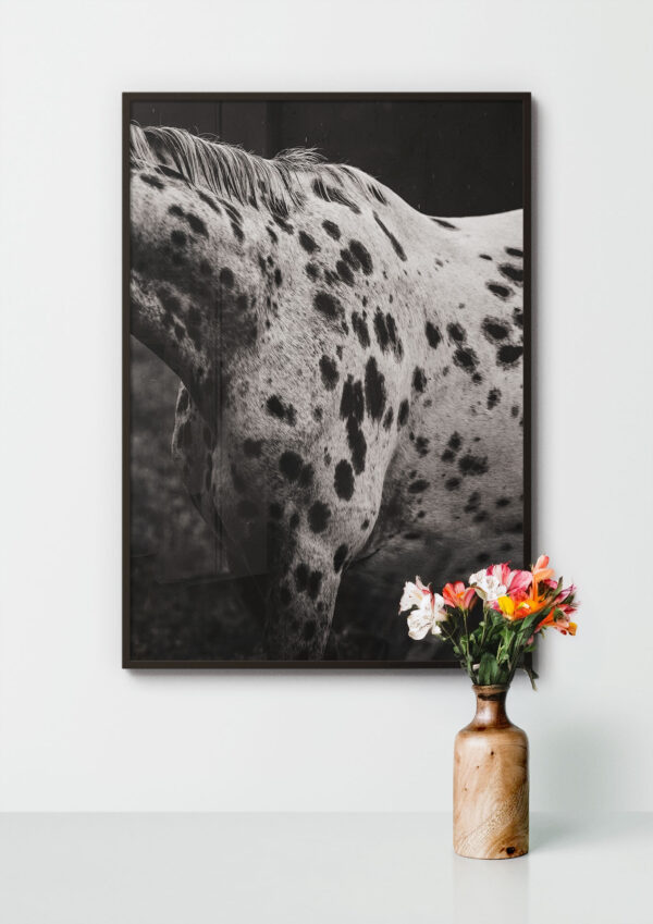 Kunstdruck «Spots» - Image 2