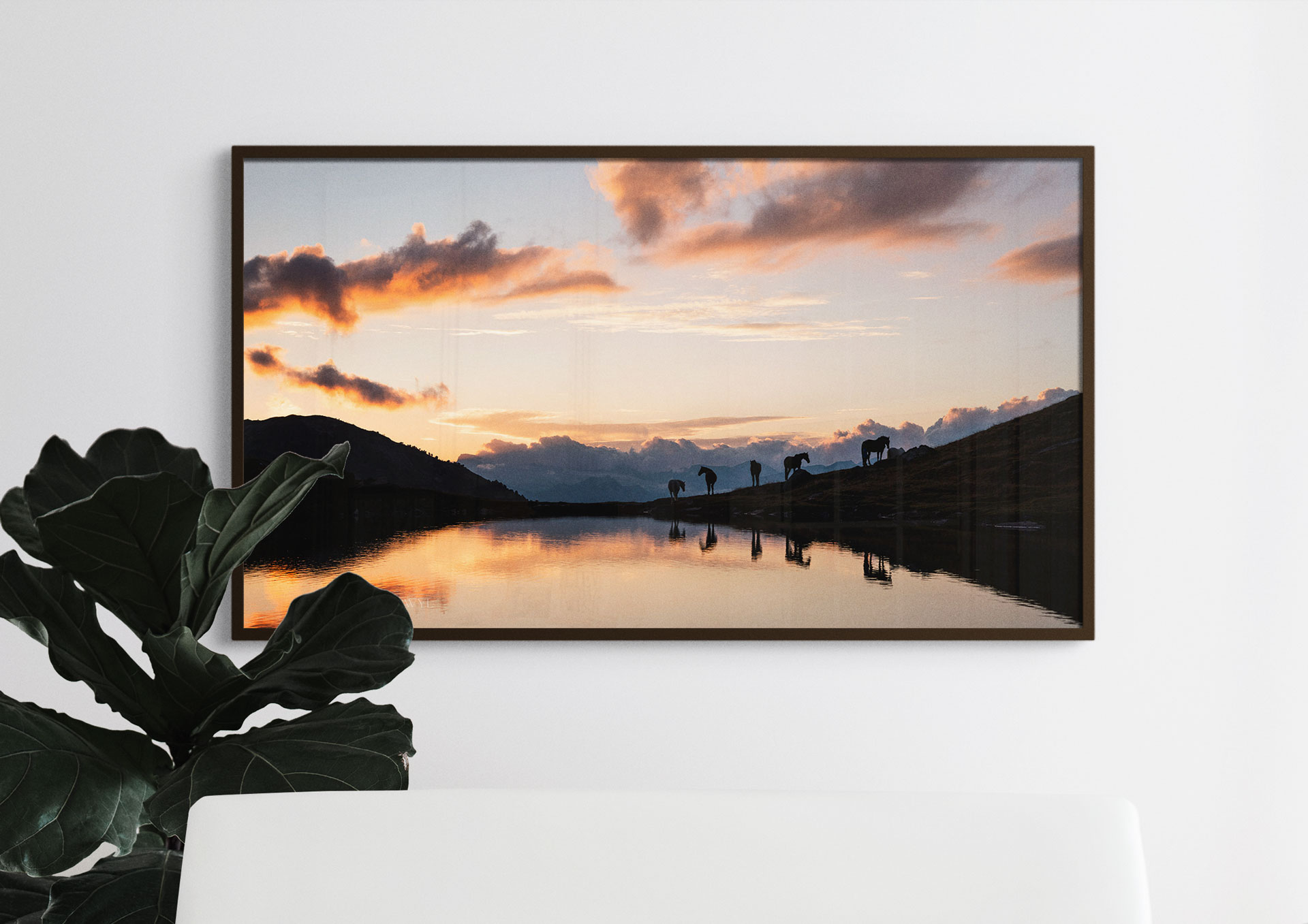 Dreamscape – Bild 2