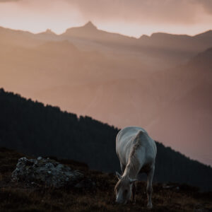 One with the Land