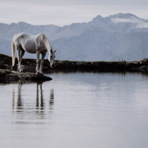 Mountain Lake