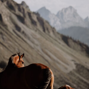 Far Away