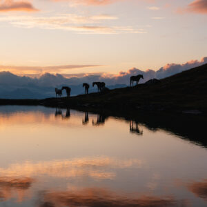 Dreamscape II