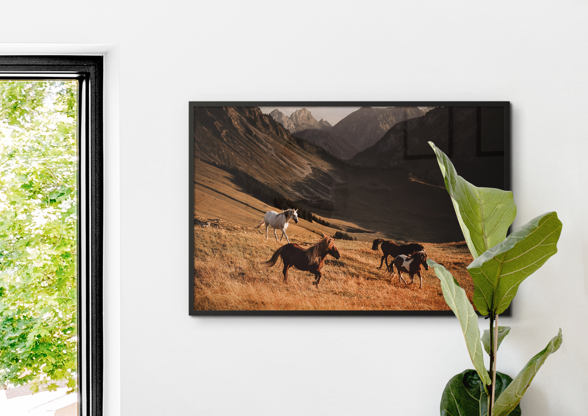 The Herd – Bild 2