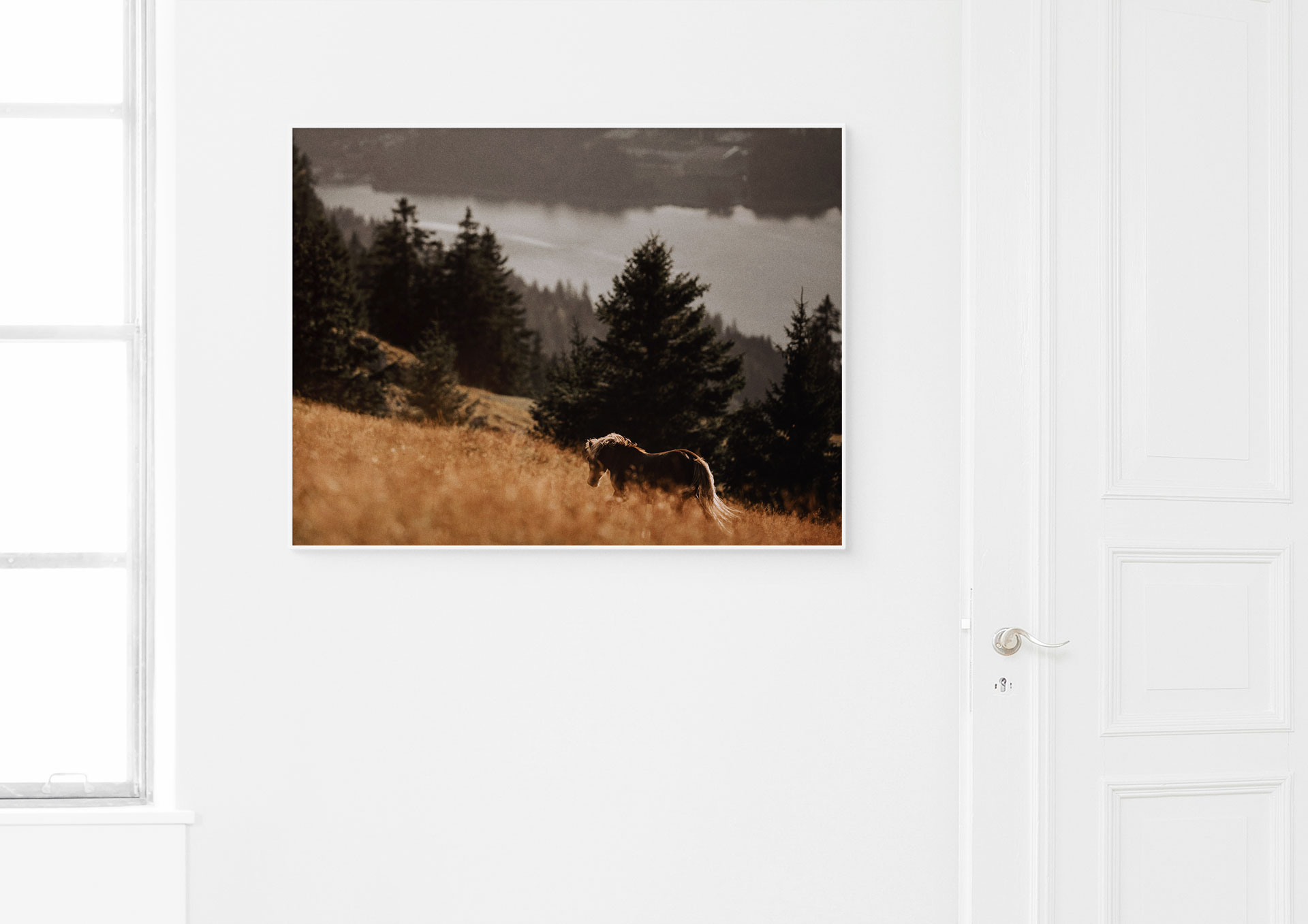 Wild – Bild 2